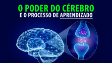 pode-cerebro-aprendizado-memorizacao