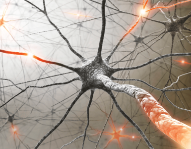 o que e neurotransmissores