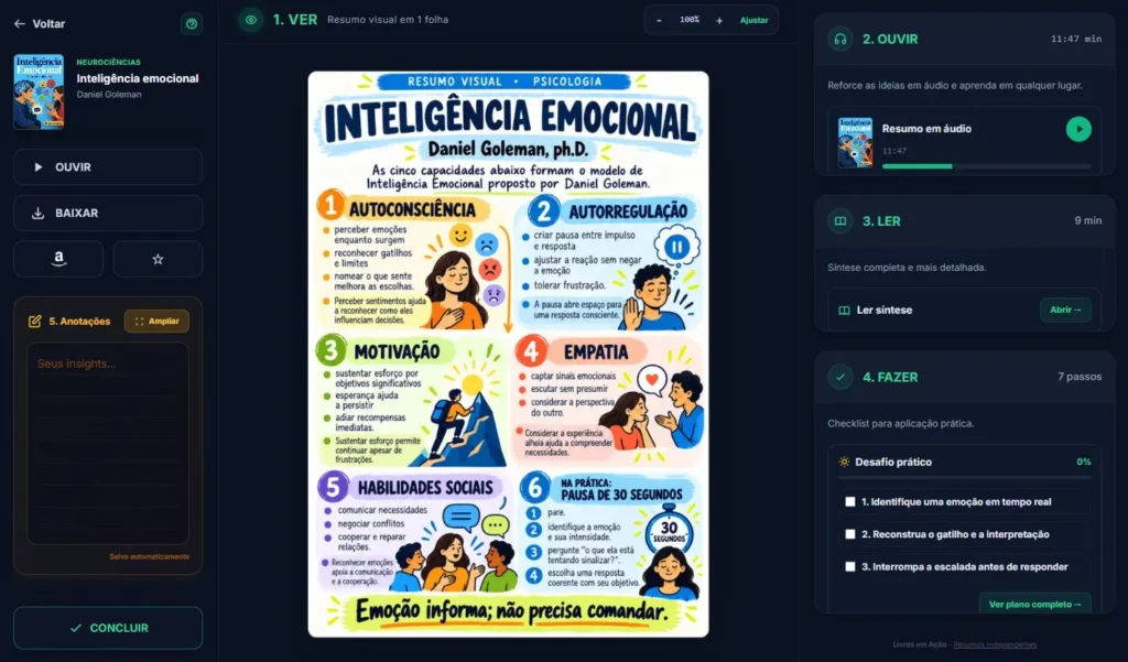 exemplo resumo visual livro